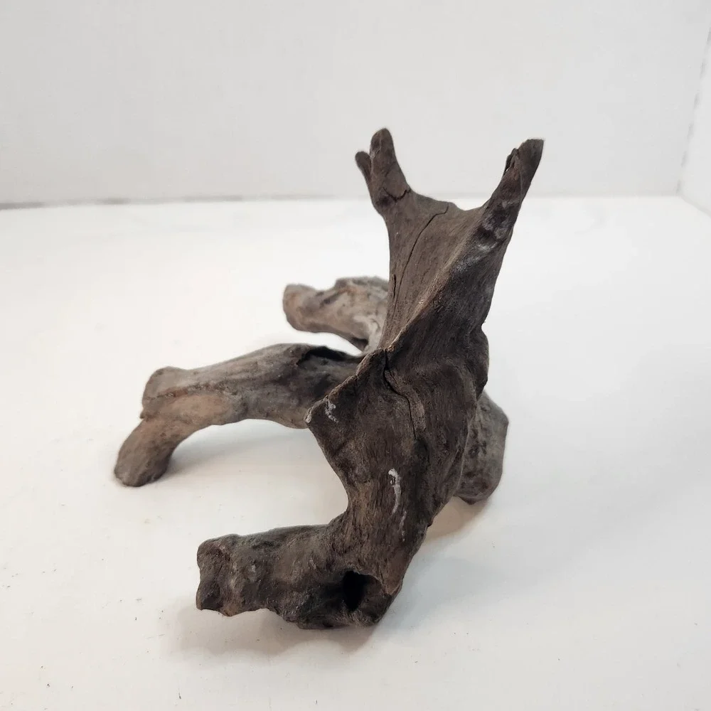 Natural driftwood for aquarium/terrarium/arts and crafts/Taxidermy Burl Habitat